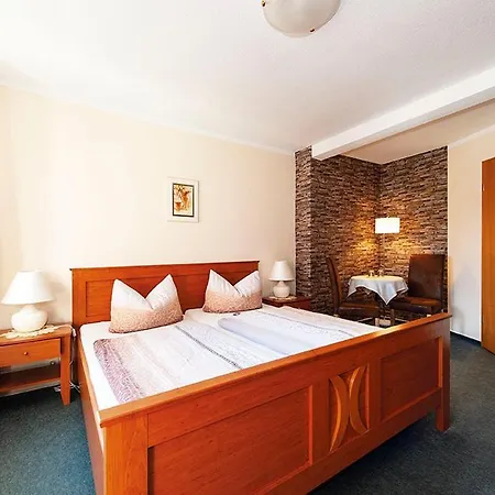 Irene 3* Kurort Gohrisch