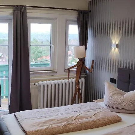 Irene Guest house Kurort Gohrisch