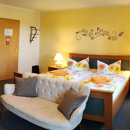 Guest house Irene 3*