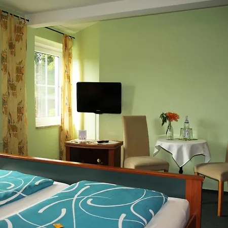 Irene Guest house *
